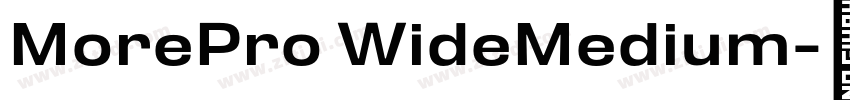 MorePro WideMedium字体转换